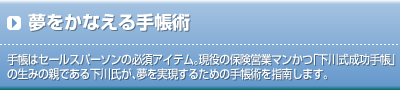�������Ȃ���蒠�p
