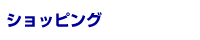 �V���b�s���O