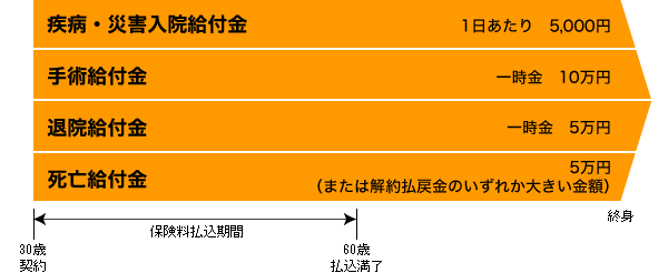 NEWモデル オリックス生命/オリックス終身医療 政治学