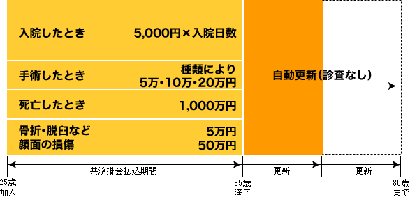 保険商品ダイジェスト