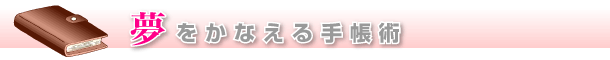 Ȃ蒠p